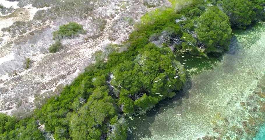 Madrisky island. Los roques Venezuela. Aerial view left to rigt tracking aerial view.