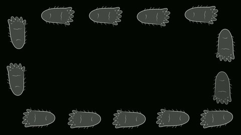 Bigfoot footprints on the black. Sasquatch's footprints are comical.