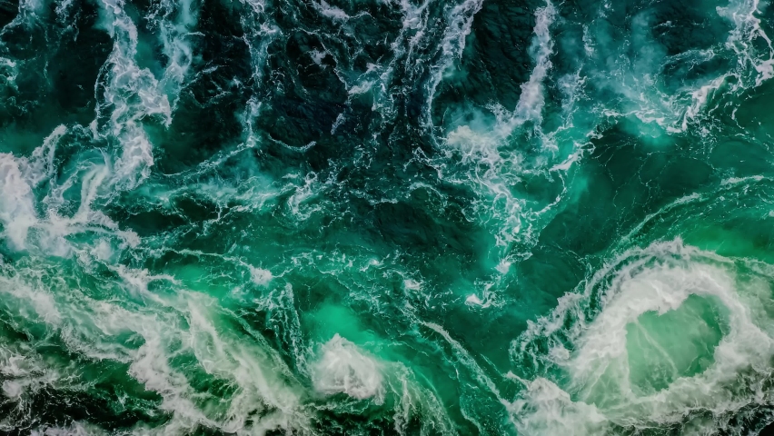 Shutterstock video thumbnail