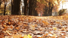 Sliding video: woman running toward the  camera in the autumnal park. Back to normal and Active people concept footage.