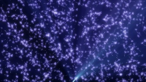 dandelion seed fly in space, graphic motion