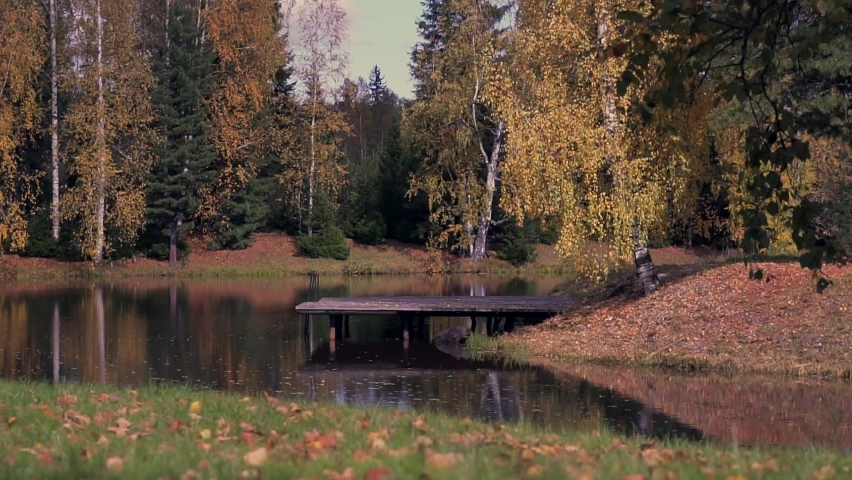 beautiful lake in autumn forest