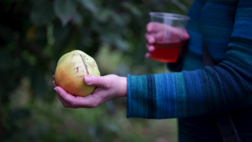 This HD 23.976 fps (slow motion) footage shows the hands of a woman holding a cup of hard cider and an apple. Bokeh background.