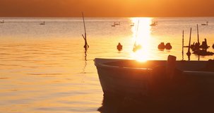 Fishing boat on sea shore and floating swans during golden sunset, 4K video