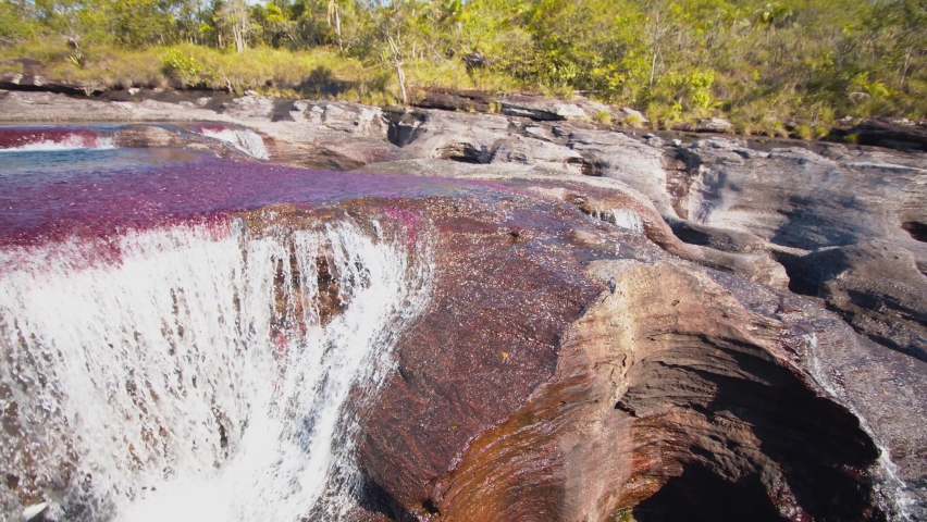 Beautiful colorful river in caño cristales colombia