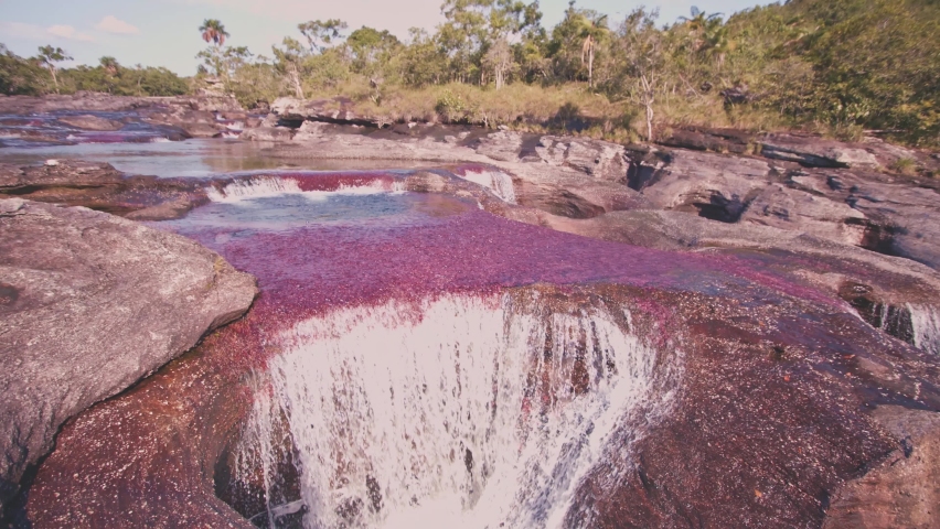 Beautiful colorful river in caño cristales colombia