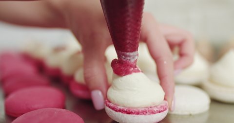 Beautiful pink macaroons fill with pink jam on a pink background. Nature pastry macaroons. Shot of hands of female pastry chef holding white macaron with ganache and squeezing red fruit jam from bag