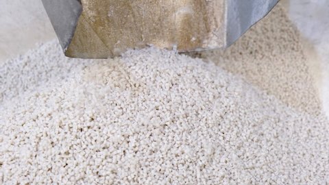White secondary processing plastic granule comes out of the granulator crusher into small granules. Concept of plastic recycling, production of secondary raw materials. White Plastic pellets crumbles