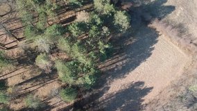 areal video of forest and canyon - trees and fields 