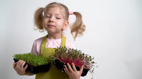 A small blonde girl smiles and holds a seedling of micro greens in her hands. gardening and planting concept