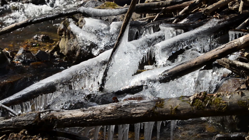 frozen branches falling into a small mountain river flowing through a forest in early spring