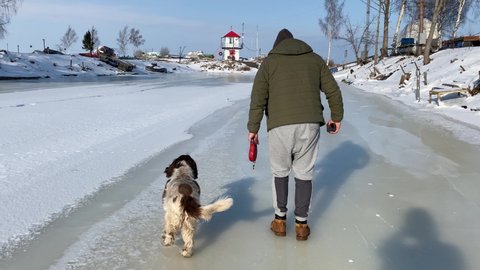 A hooded man runs on smooth ice in winter with an English springer spaniel. Breed of hunting dogs. In the afternoon. Russia, Saint Petersburg, 2.02.2021 