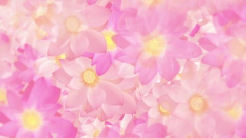Beautiful floral motion background animation with sacred pink and white lotus flowers moving gently towards the camera. Full HD and looping background.