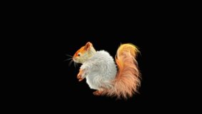 White squirrel Dance CG fur 3d rendering animal realistic CGI VFX Animation Loop  composition 3d mapping cartoon, Included in the end of the clip with Alpha matte.