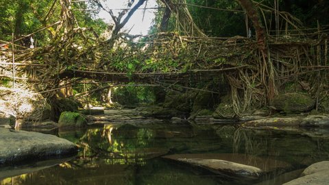 Timelapse : Living Root Bridge, Mawlynnong