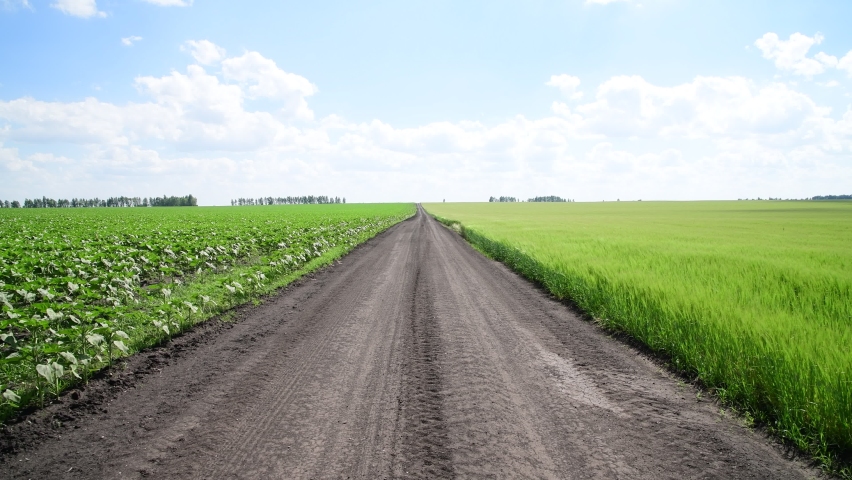 The Dirt road between fields. Russia