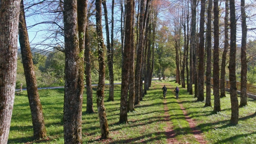 Stress free cycling in the calm woods of Cerknica Polje Slovenia