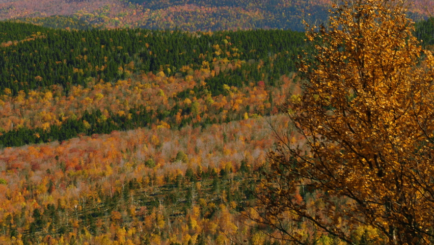 The Carrabassett Valley during autumn fall tree color change from the vantage point of Sugarloaf Mountain Maine.