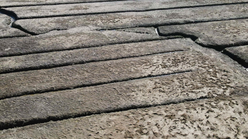 Backward aerial footage of Salt Marshes at Scituate in MA, Showing channels in the Marsh land. Drone realtime