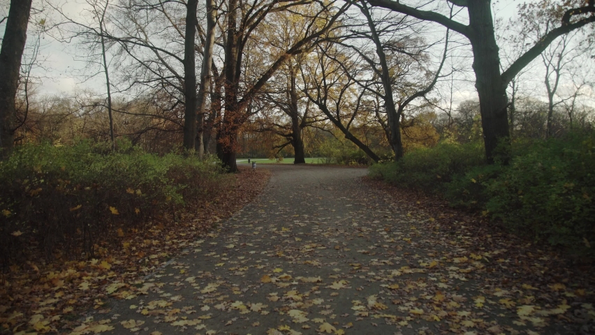 Beautfiul and sunny fall day in Berlin Treptower Park. Golden afternoon sunlight coming through tree branches, leafs falling of trees. Dolly shot panning up