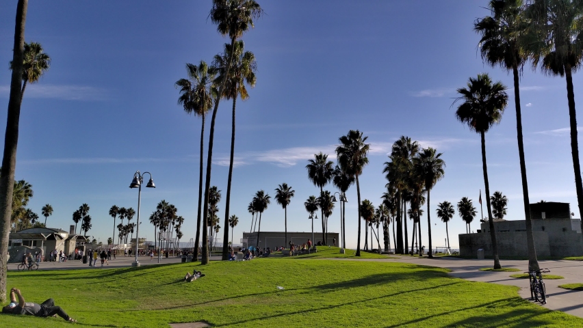 Palm Trees and Grassy Park with Crowd in the background and people laying on the grass at the Venice Beach Boardwalk in Los Angeles, Califonia, USA