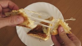 delicious toast filled with stretchy cheese melted cheddar - Powered by Shutterstock - Get 15% off with code: PIKWIZARD15