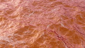 This video shows the beautiful movement of sea or ocean water in beautiful violet red orange against a summer sunset.