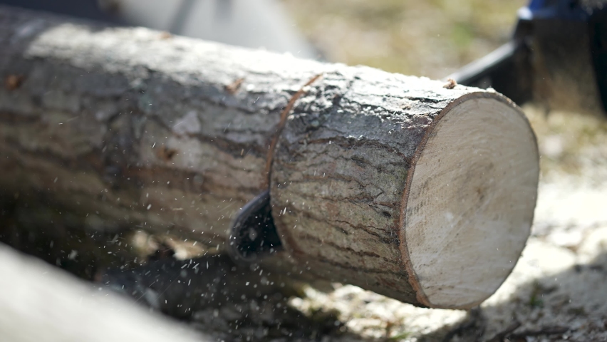 Slow motion of chainsaw cutting a log in slow motion with saw dust flying in the backlit sun. | Shutterstock HD Video #1069243039