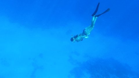 A woman in a mask and fins dives to the deep and looks at Eagle Ray on swimming over seabed. Snorkeler dive to a Eagle Ray 