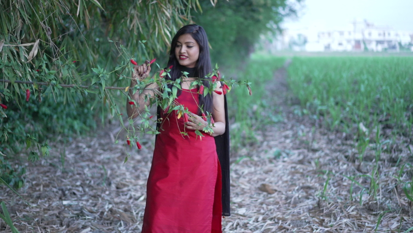 Indian village girl walking in greenfield wearing Indian traditional Suit. Walking in the agricultural field. High-quality 4k footage