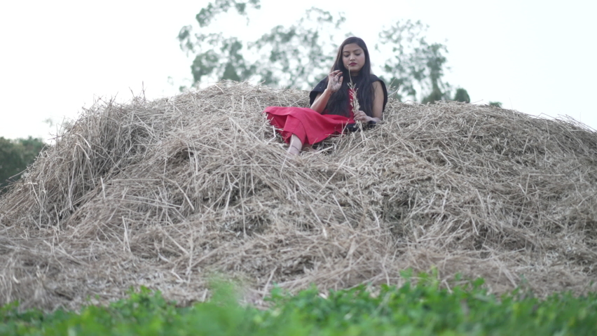 Indian village girl walking in greenfield wearing Indian traditional Suit. Walking in the agricultural field. High-quality 4k footage
