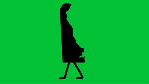 green screen silhouette map of the state of Delaware in the United States of America
