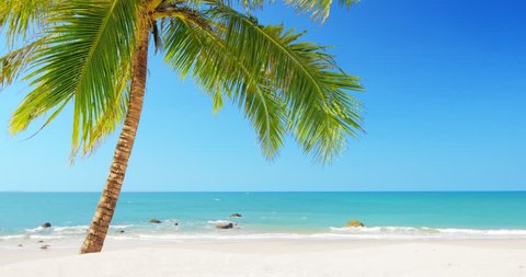 Tropical island vacation idyllic background. Exotic sandy beach and palm tree on sea coast at sunny day with blue sky. Tranquil summer scene 