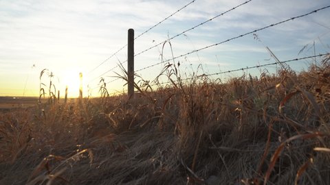 Tracking rise over a barbed wire fence on the Canadian prairies at sunrise in Rocky View County Alberta Canada.