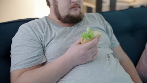 Messy plus size man chewing unhealthy sandwich, wiping hand on T-shirt, hygiene