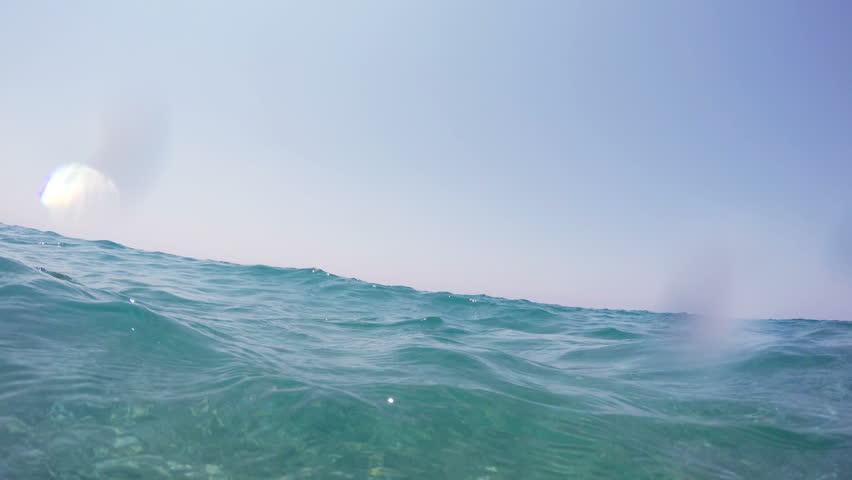 Swimming on Sea Surface, 4k | Shutterstock HD Video #10693283