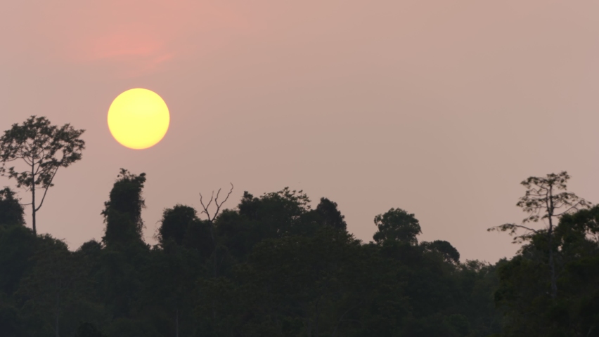 Big sun dawning slowly in the evening over tree 