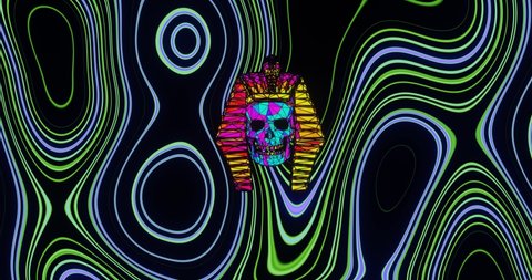psychedelic two skull king loop animation