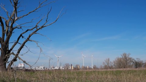 View over Elbe riverside landscape with big wind turbines to generate electrical power as green ecofriendly energy and industrial plant and old dead tree at sunset. Concept of ecology and environment
