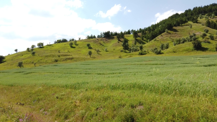 Hilly surface of a mountain plateau covered with grass and forest