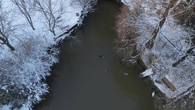 Winter Season in Ataturk Arboretum  Aerial Video Sariyer Istanbul Turkey