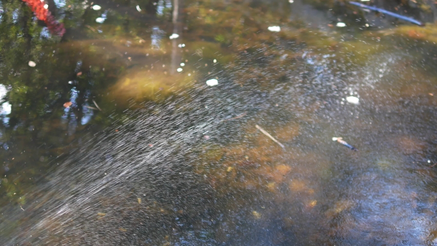 small fountain in a pond