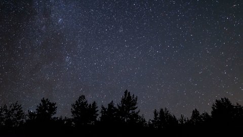 night starry sky above forest silhouette time lapse scene