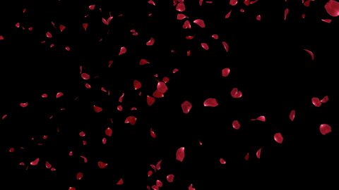 Falling of Red Rose Petals 2 clip with alpha channel. 3D rendering. Fall start to end and seamless loop easy to use place on footage or background.