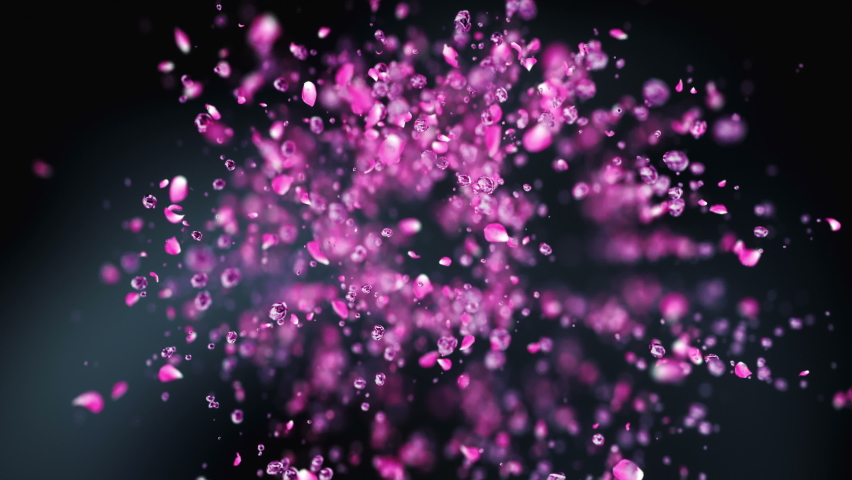 Water ubbles and rose petals flying in super slow motion 4K - Powered by Shutterstock - Get 15% off with code: PIKWIZARD15