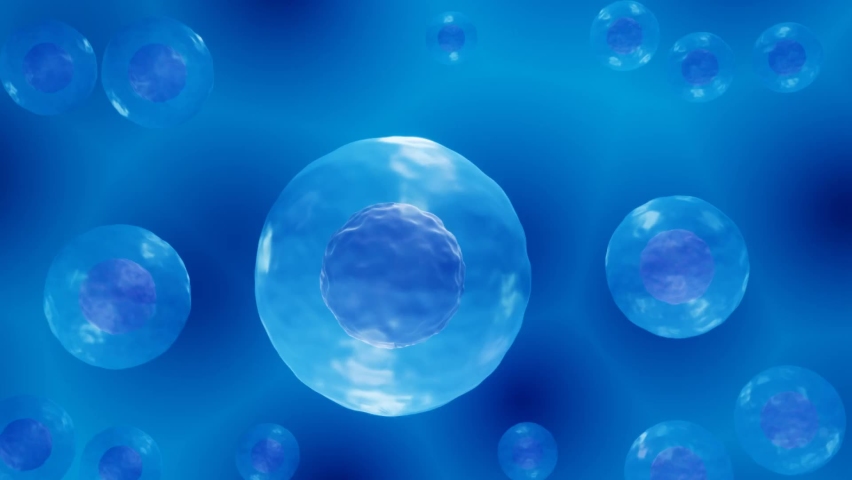 Embryonic stem cells floating in a liquid, ips cell treatment 