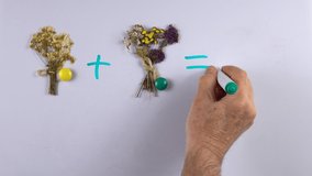 Teacher teaches kids basic of math addition with the aid of magnets and bouquets of dry flowers on the whiteboard, example of educational math children game - Powered by Shutterstock - Get 15% off with code: PIKWIZARD15