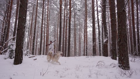 A hunter in hunting gear with a gun on his shoulder walks through the winter snow-covered forest. A hunting dog is running nearby