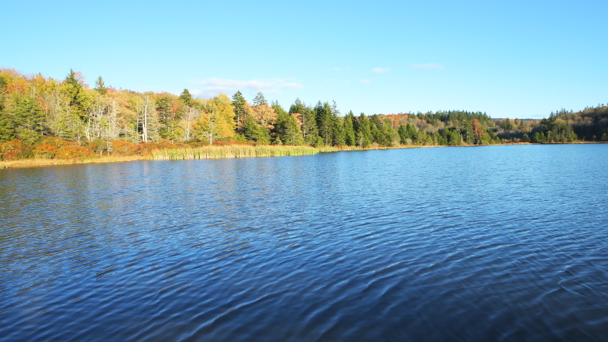Wide angle view of Spruce Knob Lake in Canaan valley, Appalachian mountains in West Virginia at sunset in Monongahela National Forest in autumn fall season