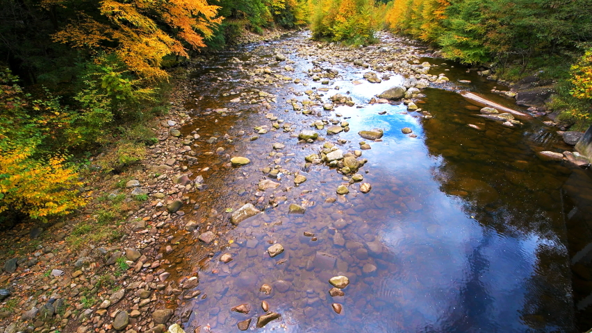 Vertical panning of flowing water at Red Creek river near Dolly Sods, West Virginia with colorful autumn fall maple tree foliage at Canaan valley Appalachian mountains, sky reflection